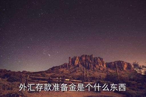 存款準備金包括什么,什么是存款準備金