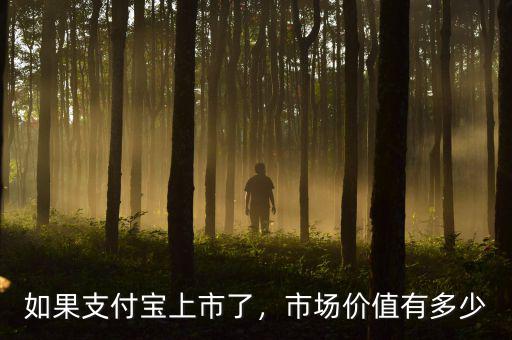 如果支付寶上市了，市場(chǎng)價(jià)值有多少