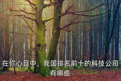 在你心目中，我國(guó)排名前十的科技公司有哪些