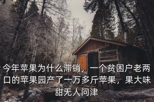 今年蘋果為什么滯銷，一個貧困戶老兩口的蘋果園產(chǎn)了一萬多斤蘋果，果大味甜無人問津