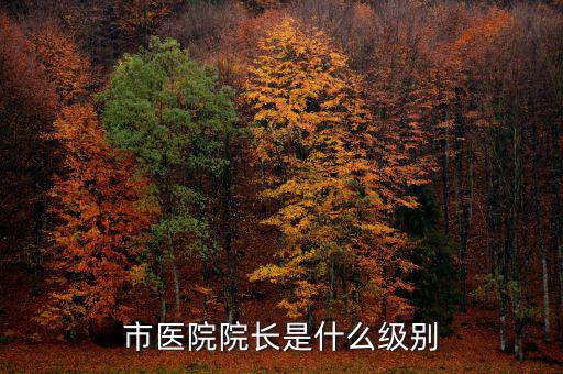 宋志平是什么級別,快退休公務(wù)員一般是什么級別
