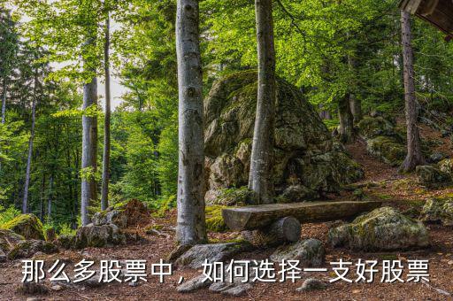 那么多股票中，如何選擇一支好股票