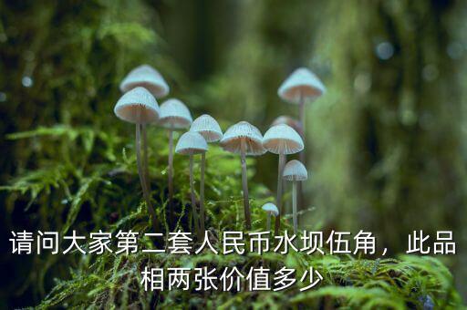 請(qǐng)問大家第二套人民幣水壩伍角，此品相兩張價(jià)值多少