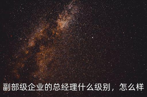 副部級(jí)企業(yè)的總經(jīng)理什么級(jí)別，怎么樣