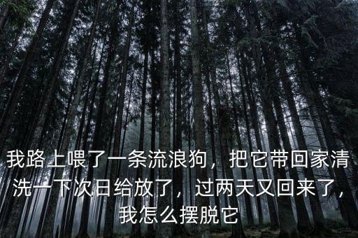 我路上喂了一條流浪狗，把它帶回家清洗一下次日給放了，過兩天又回來了，我怎么擺脫它