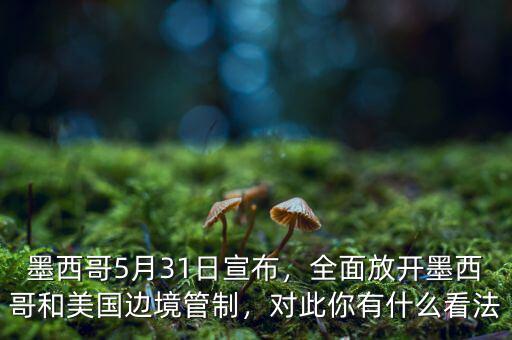 墨西哥5月31日宣布，全面放開墨西哥和美國邊境管制，對此你有什么看法