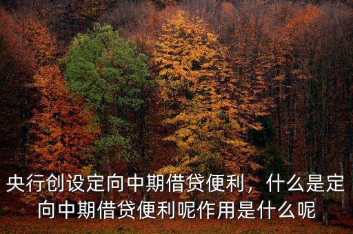 央行創(chuàng)設定向中期借貸便利，什么是定向中期借貸便利呢作用是什么呢
