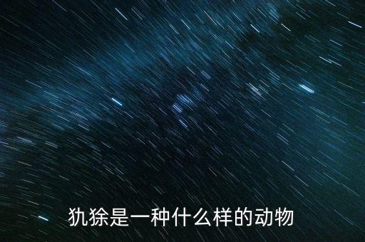 犰狳是一種什么樣的動(dòng)物