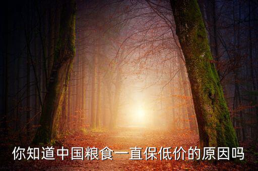 中國為什么調低糧食收購價格,國家出錢進口糧食