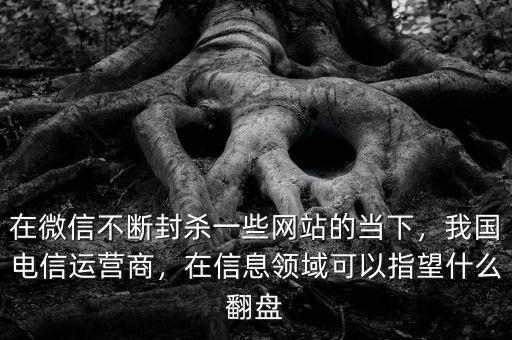 什么是泛運(yùn)營(yíng)商,我國電信運(yùn)營(yíng)商