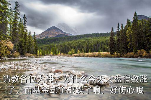 請教各位大神，為什么今天大盤指數(shù)漲了，而基金卻全部跌了啊，好傷心哦
