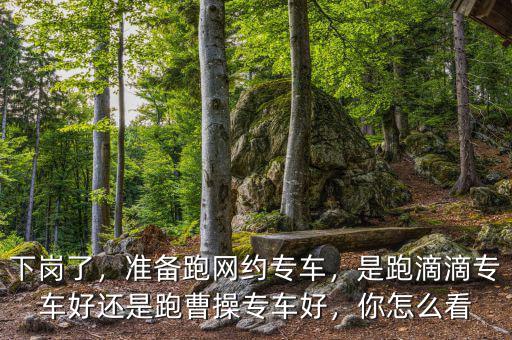 下崗了，準備跑網約專車，是跑滴滴專車好還是跑曹操專車好，你怎么看