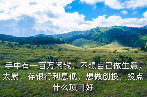 手中有一百萬閑錢，不想自己做生意，太累，存銀行利息低，想做創(chuàng)投，投點什么項目好