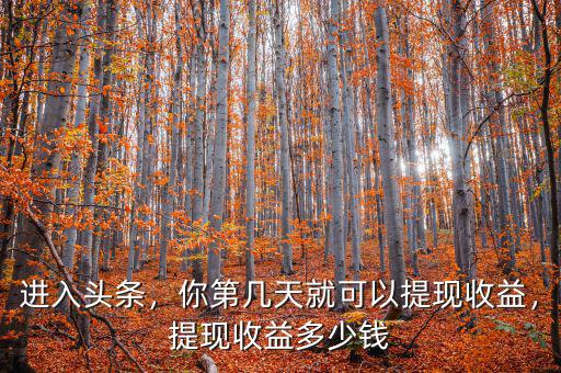 進(jìn)入頭條，你第幾天就可以提現(xiàn)收益，提現(xiàn)收益多少錢