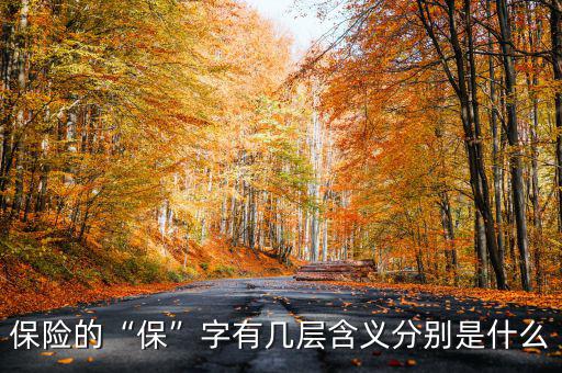 保險的“?！弊钟袔讓雍x分別是什么