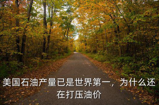 美國石油產(chǎn)量已是世界第一，為什么還在打壓油價