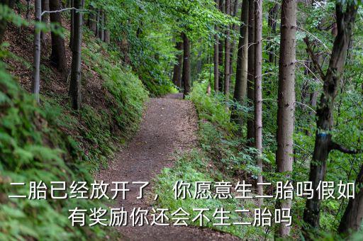 二胎已經(jīng)放開了，你愿意生二胎嗎假如有獎(jiǎng)勵(lì)你還會(huì)不生二胎嗎