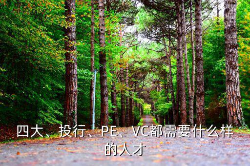 四大、投行、PE、VC都需要什么樣的人才