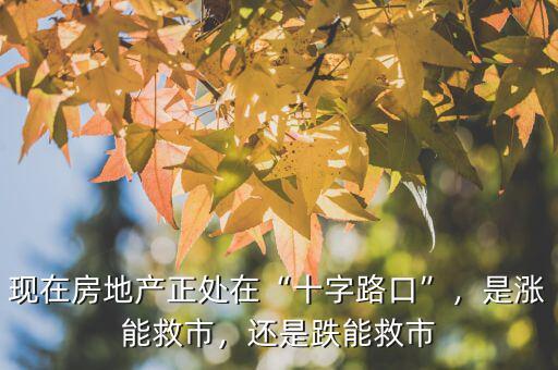 現(xiàn)在房地產(chǎn)正處在“十字路口”，是漲能救市，還是跌能救市