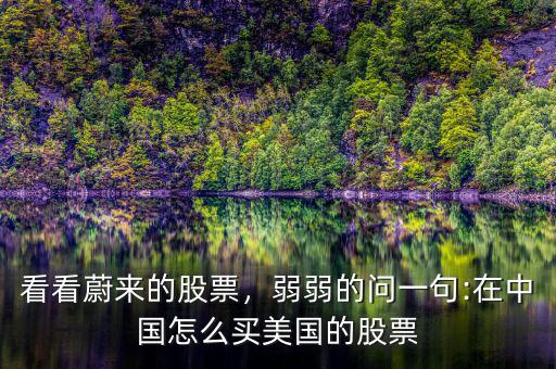 看看蔚來的股票，弱弱的問一句:在中國(guó)怎么買美國(guó)的股票