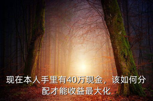 現(xiàn)在本人手里有40萬現(xiàn)金，該如何分配才能收益最大化