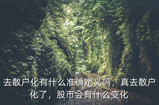 去散戶化有什么準(zhǔn)確定義嗎，真去散戶化了，股市會(huì)有什么變化