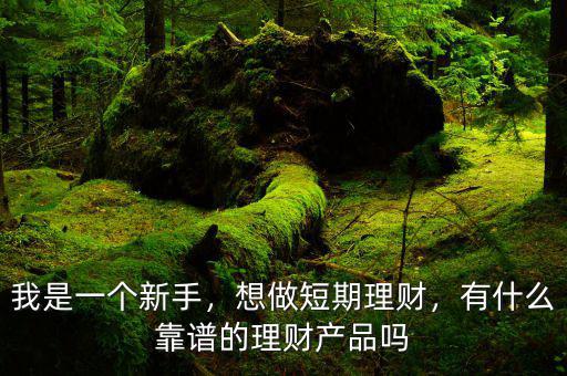 我是一個(gè)新手，想做短期理財(cái)，有什么靠譜的理財(cái)產(chǎn)品嗎