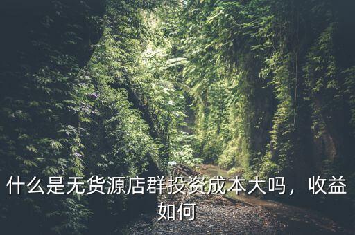 什么是無(wú)貨源店群投資成本大嗎，收益如何