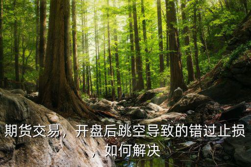 期貨交易，開盤后跳空導(dǎo)致的錯過止損，如何解決