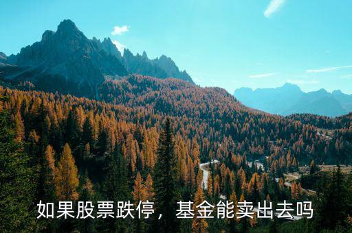 股票一字跌停怎么賣出,一開(kāi)盤股票就跌停