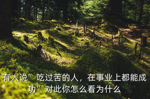 有人說”吃過苦的人，在事業(yè)上都能成功”對此你怎么看為什么