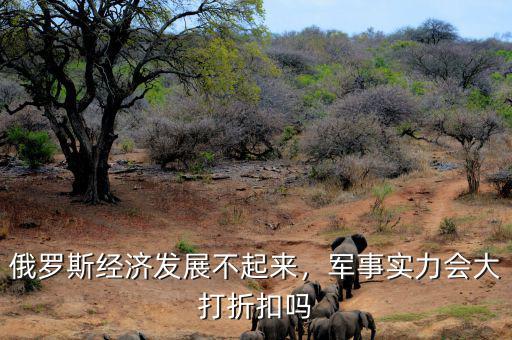俄羅斯經(jīng)濟(jì)發(fā)展不起來(lái)，軍事實(shí)力會(huì)大打折扣嗎