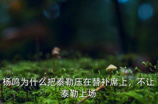 中國(guó)泰勒為什么沒來(lái),為什么沒有來(lái)中國(guó)開