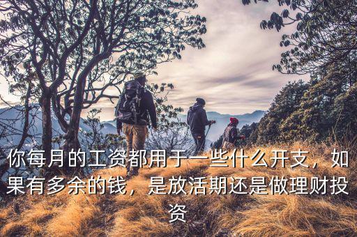 你每月的工資都用于一些什么開支，如果有多余的錢，是放活期還是做理財投資