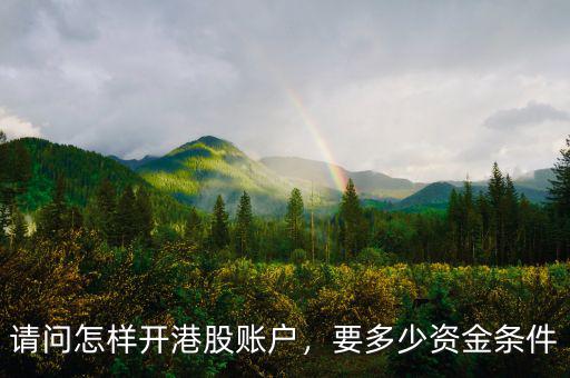 請(qǐng)問怎樣開港股賬戶，要多少資金條件
