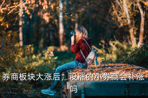 券商板塊大漲后，沒漲的小券商會補漲嗎