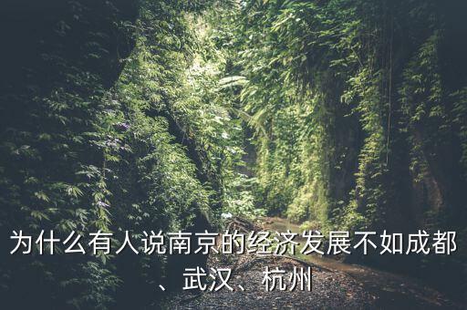 為什么有人說南京的經(jīng)濟(jì)發(fā)展不如成都、武漢、杭州