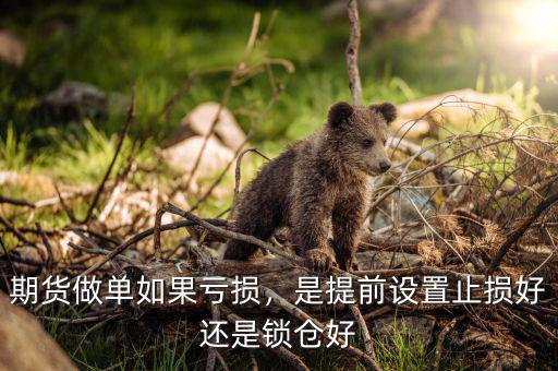 期貨做單如果虧損，是提前設(shè)置止損好還是鎖倉好