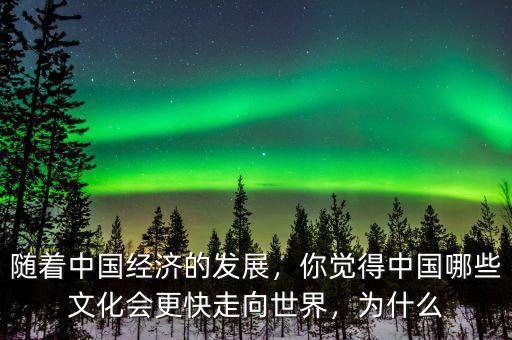 隨著中國經(jīng)濟(jì)的發(fā)展，你覺得中國哪些文化會(huì)更快走向世界，為什么