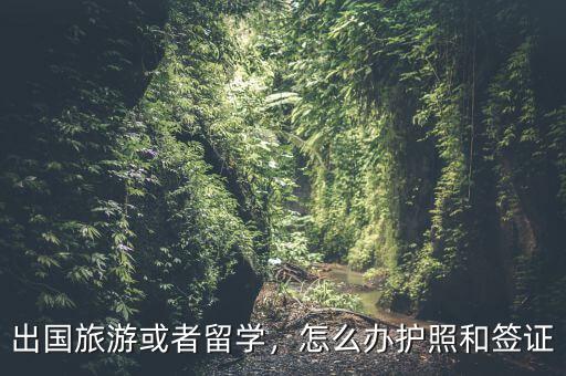出國旅游或者留學(xué)，怎么辦護照和簽證