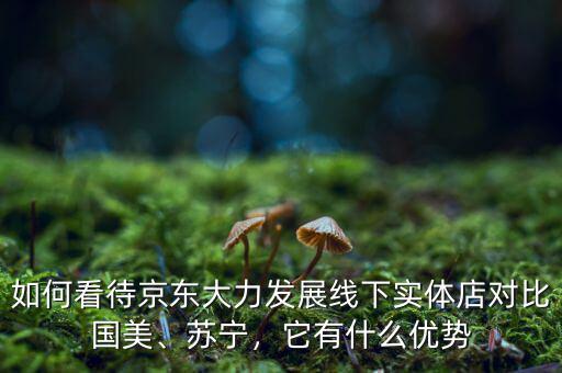如何看待京東大力發(fā)展線下實體店對比國美、蘇寧，它有什么優(yōu)勢