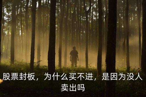 股票封板，為什么買不進(jìn)，是因為沒人賣出嗎