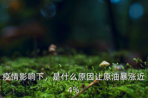 疫情影響下，是什么原因讓原油暴漲近4%