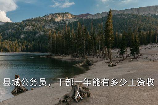 公務員一年收入到底有多少,干部一年能有多少工資收入