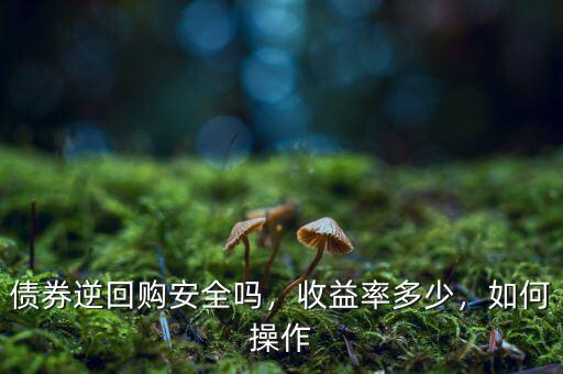債券逆回購安全嗎，收益率多少，如何操作