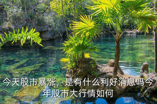 今天股市暴漲，是有什么利好消息嗎今年股市大行情如何