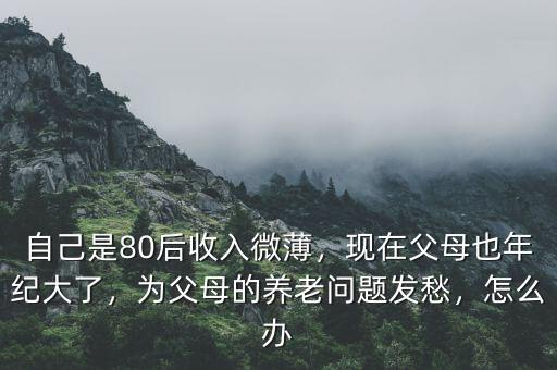 自己是80后收入微薄，現(xiàn)在父母也年紀(jì)大了，為父母的養(yǎng)老問題發(fā)愁，怎么辦