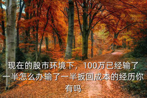 現(xiàn)在的股市環(huán)境下，100萬已經(jīng)輸了一半怎么辦輸了一半扳回成本的經(jīng)歷你有嗎