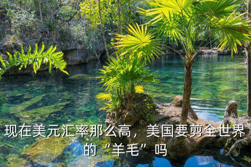 現(xiàn)在美元匯率那么高，美國要剪全世界的“羊毛”嗎