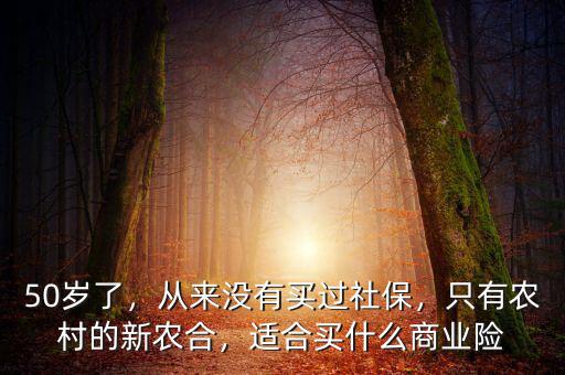50歲了，從來沒有買過社保，只有農(nóng)村的新農(nóng)合，適合買什么商業(yè)險